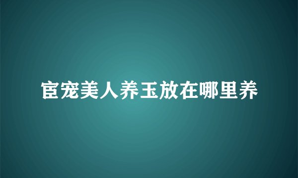 宦宠美人养玉放在哪里养
