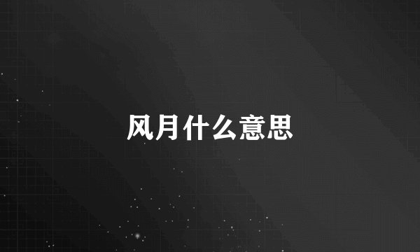风月什么意思