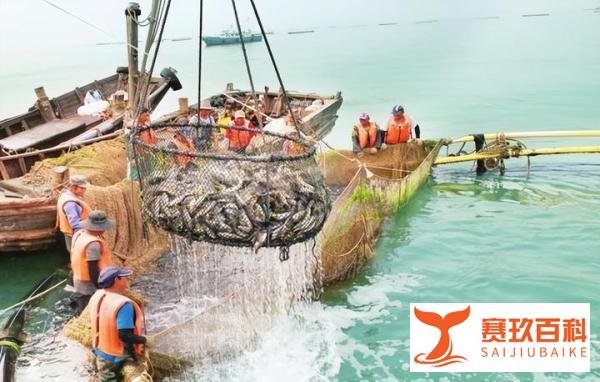 浙江查获日本核辐射地区进口食品惹众怒!