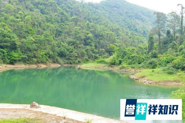 中山市逍遥谷里并不逍遥,谁去谁知道