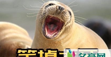抖音希希奶奶啥梗 热梗希希奶奶出自哪
