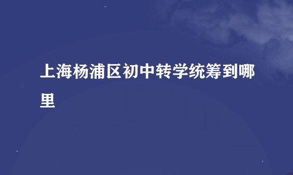 上海杨浦区初中转学统筹到哪里