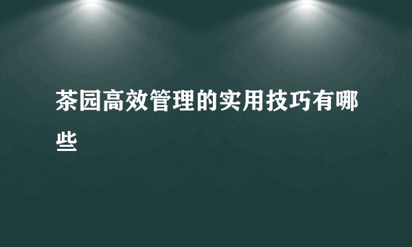 茶园高效管理的实用技巧有哪些