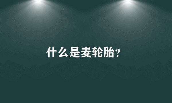 什么是麦轮胎？