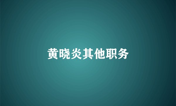黄晓炎其他职务