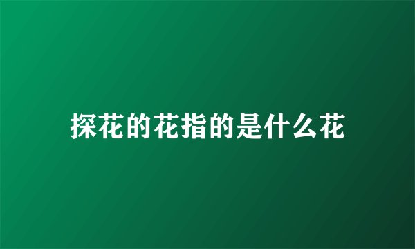 探花的花指的是什么花