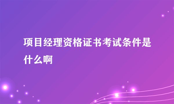 项目经理资格证书考试条件是什么啊