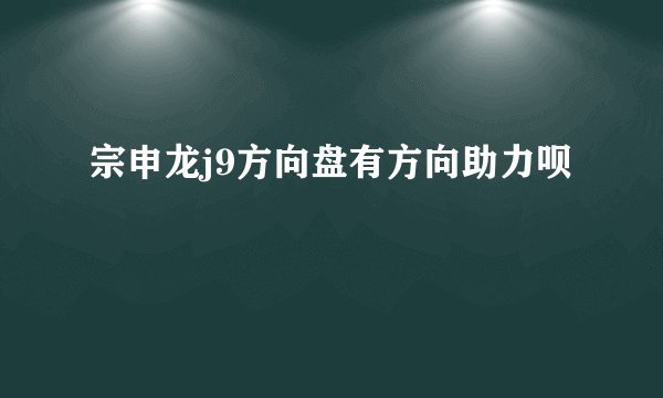 宗申龙j9方向盘有方向助力呗