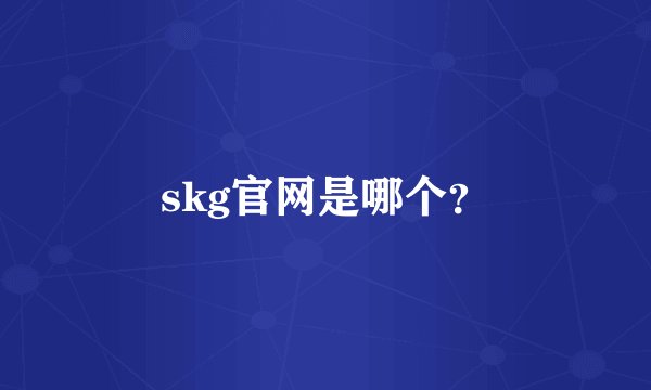 skg官网是哪个？