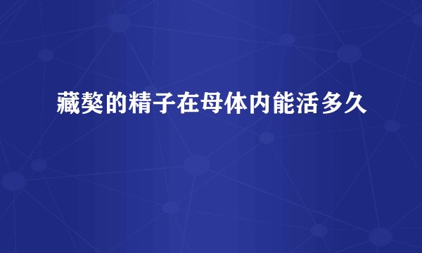 藏獒的精子在母体内能活多久