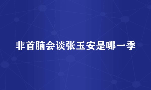 非首脑会谈张玉安是哪一季