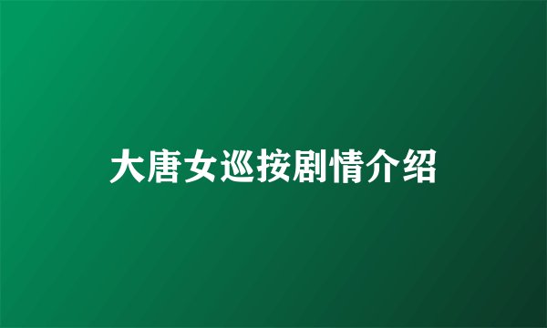 大唐女巡按剧情介绍