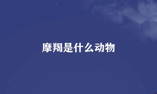 摩羯是什么动物