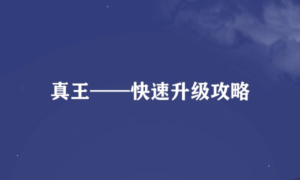 真王——快速升级攻略