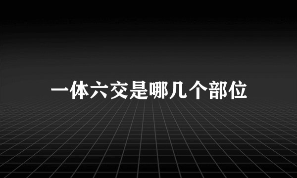 一体六交是哪几个部位