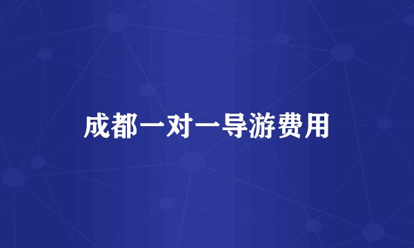 成都一对一导游费用
