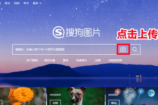 有哪些可以图片识别人脸找人软件?