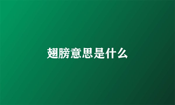 翅膀意思是什么