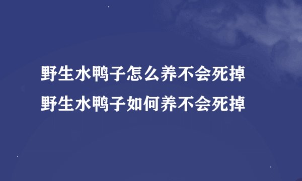 野生水鸭子怎么养不会死掉 野生水鸭子如何养不会死掉