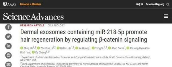 还在担心脱发？华人科学家最新研究：小鼠15天可长出90%毛发