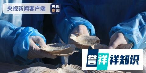 大连海关查获贝壳类固体废物 律师称:因品质不良鉴定为废物不能定走私废物罪