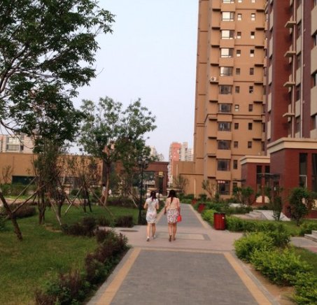 东北1万多一套的房上热搜,为什么有这么便宜的房子呢