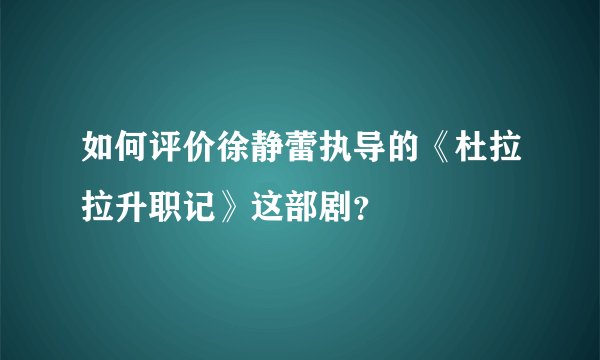如何评价徐静蕾执导的《杜拉拉升职记》这部剧？