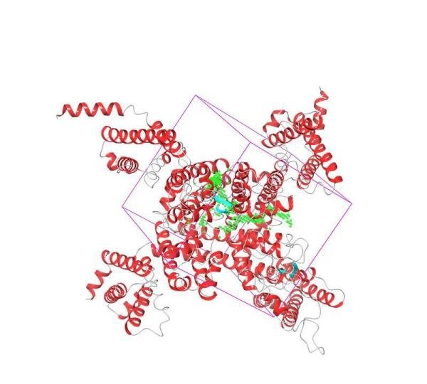分子动力学