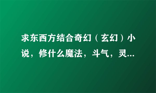 求东西方结合奇幻（玄幻）小说，修什么魔法，斗气，灵气都可以，要1500章以上最好要完结本。参考：盘龙