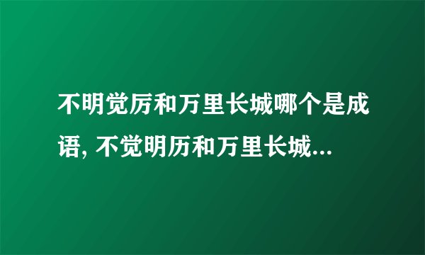 不明觉厉和万里长城哪个是成语, 不觉明历和万里长城哪个是成语