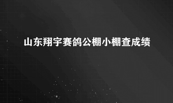 山东翔宇赛鸽公棚小棚查成绩