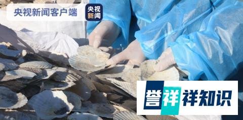 大连海关查获贝壳类固体废物 律师称:因品质不良鉴定为废物不能定走私废物罪