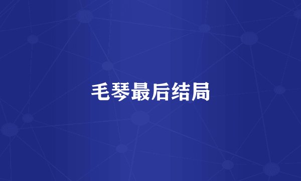 毛琴最后结局