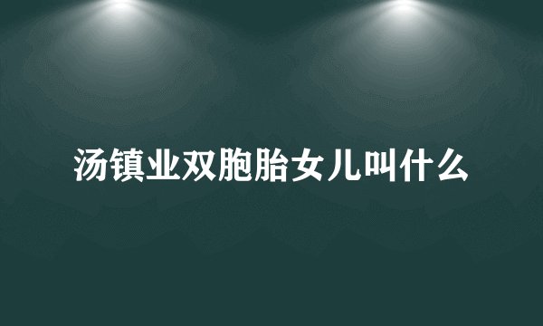 汤镇业双胞胎女儿叫什么