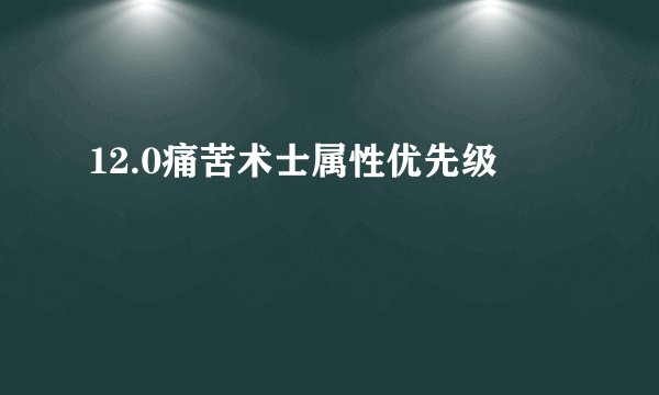12.0痛苦术士属性优先级