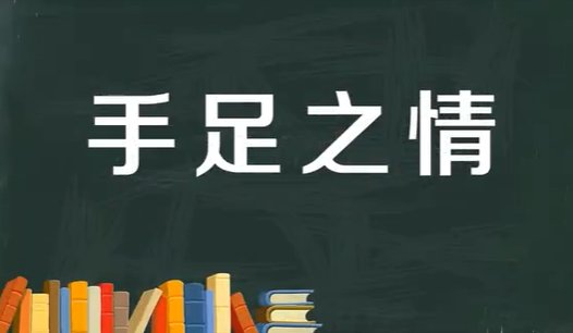 手足之情是什么意思