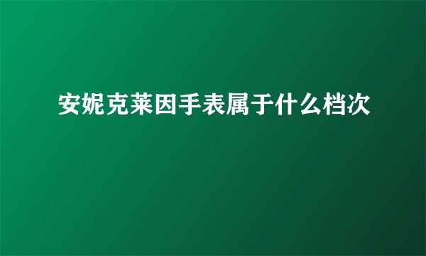 安妮克莱因手表属于什么档次