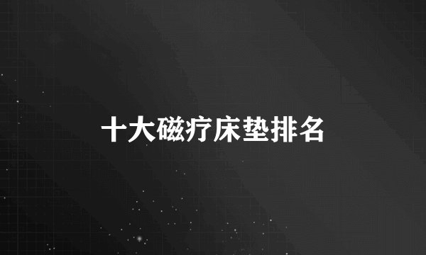 十大磁疗床垫排名