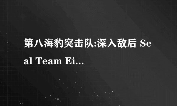 第八海豹突击队:深入敌后 Seal Team Eight: Behind Enemy Lines剧情介绍