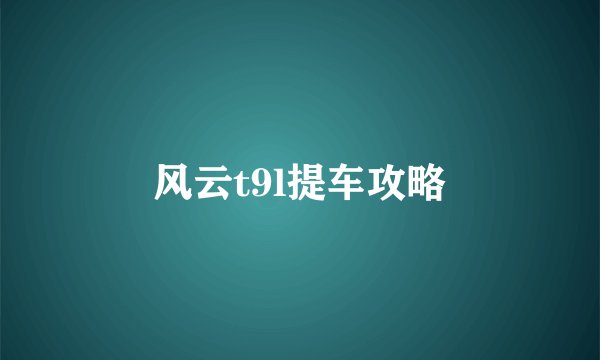 风云t9l提车攻略