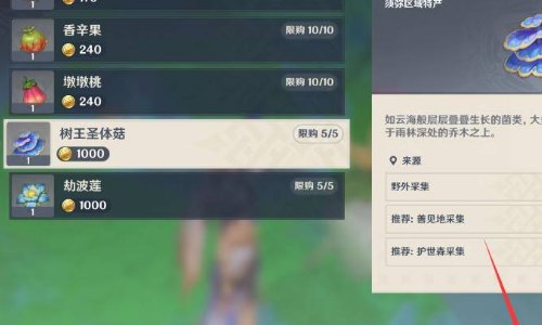 树王圣体菇购买位置
