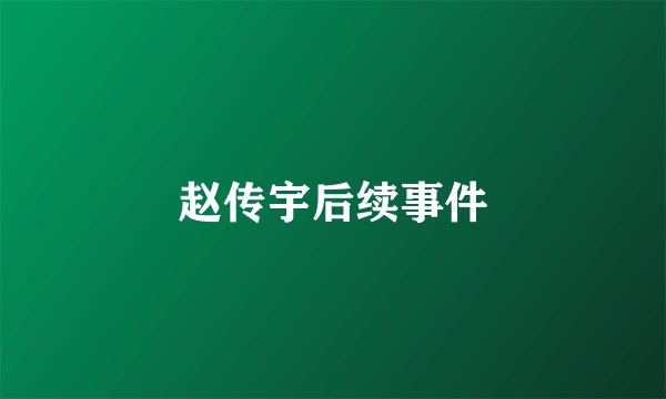 赵传宇后续事件