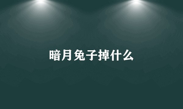暗月兔子掉什么