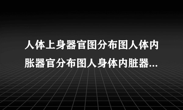 人体上身器官图分布图人体内胀器官分布图人身体内脏器官分布图
