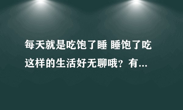 每天就是吃饱了睡 睡饱了吃 这样的生活好无聊哦？有什么方法可以要自己的生活别的更加精彩有趣