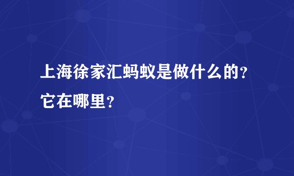 上海徐家汇蚂蚁是做什么的？它在哪里？