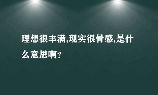 理想很丰满,现实很骨感,是什么意思啊？