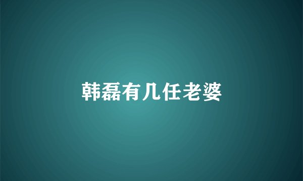 韩磊有几任老婆