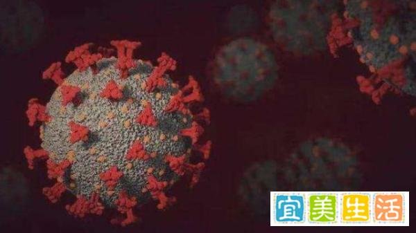 世卫称IHU毒株没有发生大规模传播：钟南山目前不需要过度去解读它
