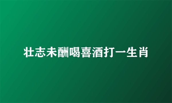壮志未酬喝喜酒打一生肖